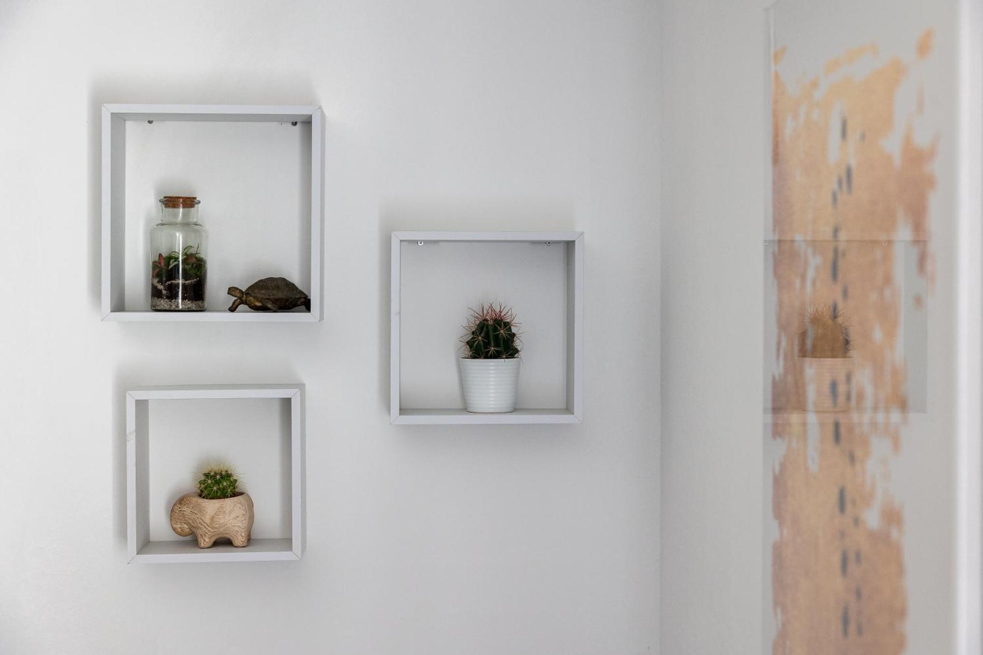Dubrovnik Domus Apartment 外观 照片